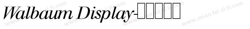 Walbaum Display字体转换